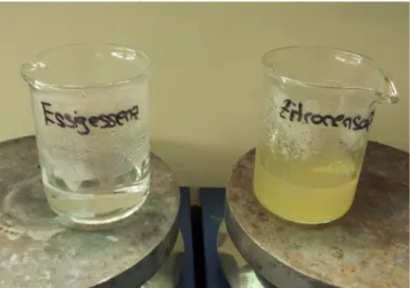 Abbildung 1 - Versuchsdurchführung: Eindampfen von Essigessenz und Zitronensaft.                
