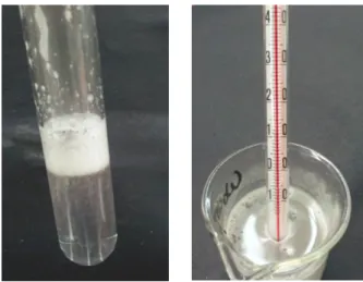 Abbildung 3 - Durchführung: links: Mischung von NaOH und Aluminium, rechts: Temperaturmessung