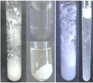 Abb. 7 -  linkes Bild: Lösungsvorgang in Citronensäure-Lsg. (links), Calciumcarbonat vollständig gelöst (rechts oben),  ausgefallener Niederschlag (rechts unten).