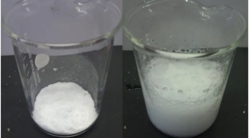 Abb. 4 -  Natriumhydrogencarbonat und Citronensäure reagieren unter Gasentwicklung.