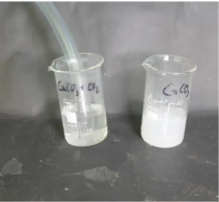 Abb. 3 -  Einleiten von Kohlenstoffdioxid in Calciumcarbonatlösung.
