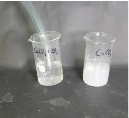 Abb.  -  Einleiten von Kohlenstoffdioxid in Calciumcarbonatlösung.
