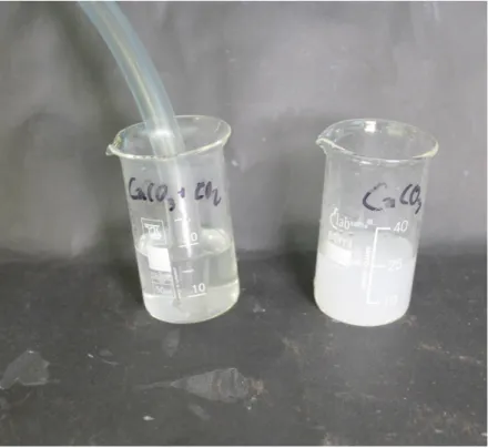 Abb.  -  Einleiten von Kohlenstoffdioxid in Calciumcarbonatlösung.