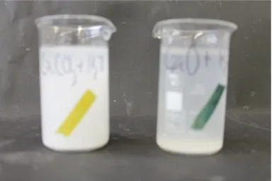 Abb. 2 -  Links: Destilliertes Wasser mit Calciumcarbonat (pH=8). Rechts: Destilliertes  Wasser mit Calciumoxid (pH=12)