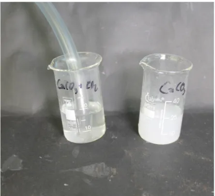Abb. 3 -  Einleiten von Kohlenstoffdioxid in Calciumcarbonatlösung.