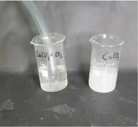 Abb.  -  Einleiten von Kohlenstoffdioxid in Calciumcarbonatlösung. 