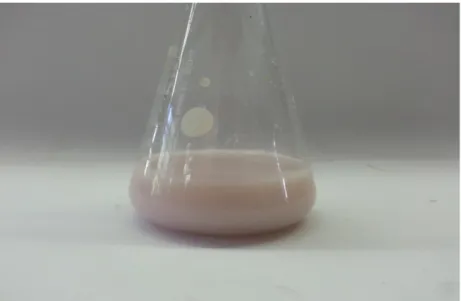Abb. 4 -  milchig-rosane Färbung nach der Titration