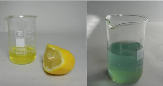 Abb. 2 Zitronensaft vor der Titration (links) und danach (rechts) 