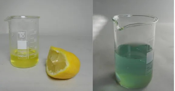 Abb. 2 Zitronensaft vor der Titration (links) und danach (rechts) 