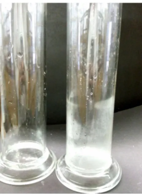 Abbildung 1 – Links: Mit destilliertem Wasser ausgewaschener Standzylinder. Rechts: Mit einer Calciumhydroxid- Calciumhydroxid-Lösung befeuchteter Standzylinder.+