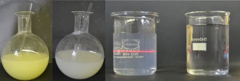 Abb. 4 -  Der Rundkolben nach Zugabe von etwas und von mehr Salzsäure. Der Tyndall-Effekt (rechts im Vergleich Wasser).