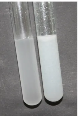 Abb. 2 – Vergleich von Reagenzglas 3 (links) mit der Referenzprobe.