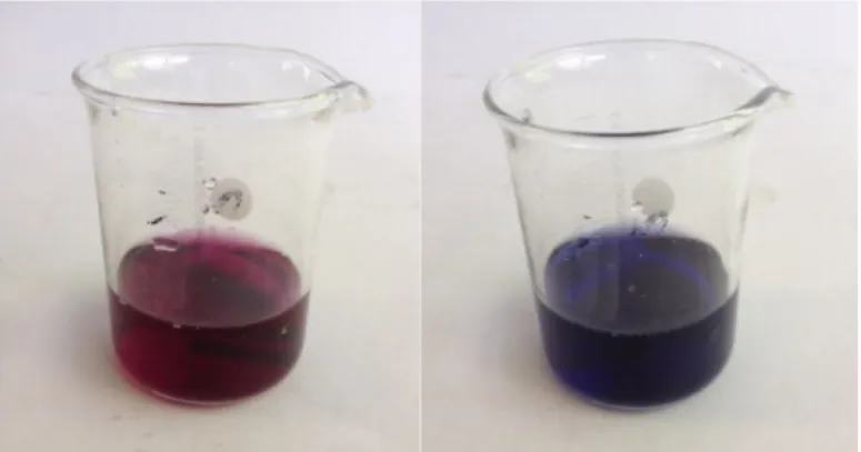 Abb. 2 -  Wasserprobe vor und nach Titration