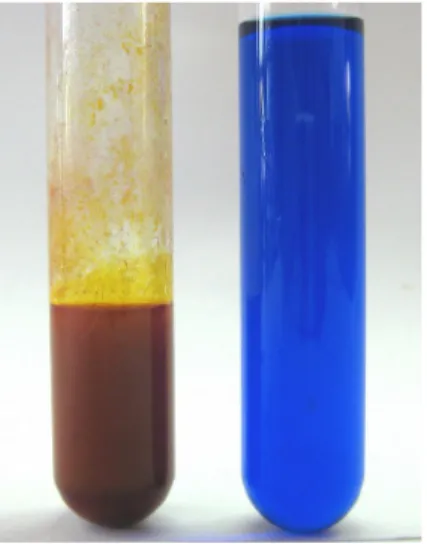 Abb. 7 -  Fehling-Probe bei Zugabe von Acetaldehyd (links) und Aceton (rechts).