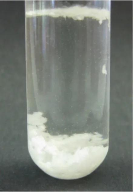 Abb. 9 -  Bildung von Kristallen aus Aceton durch Zugabe von Natriumdisulfit. 