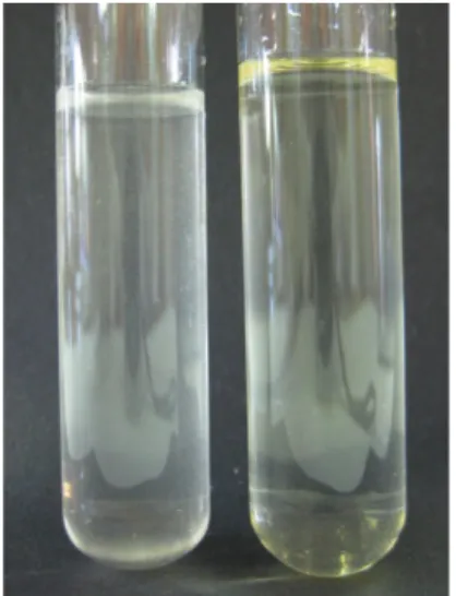 Abb. 4 -  Aceton gelöst in Wasser (links) und Öl (rechts).