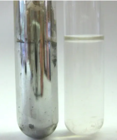 Abb. 8 -  Tollensprobe bei Zugabe von Acetaldehyd (links) und Aceton (rechts).