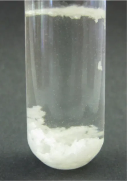 Abb. 9 -  Bildung von Kristallen aus Aceton durch Zugabe von Natriumdisulfit.