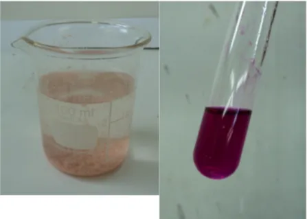 Abb. 4 -  Der weiß-rosane Niederschlag      Abb. 5 - Die Natronlauge färbt die Lösung magenta