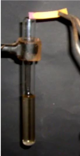 Abb.   1   -   Toluol  und   Brom   nach   der   Zugabe   von   Eisen;   das   aufsteigende   Gas   färbt   das angefeuchtete Indikatorpapier rot.