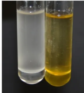 Abb. 3 -  Belichtetes Reagenglas links, Reagenzglas in Alufolie rechts.