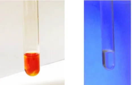 Abb. 1 – Reagenzglas mit Brom und Toluol vor (links) und bei der Belichtung mit UV-Licht (rechts).