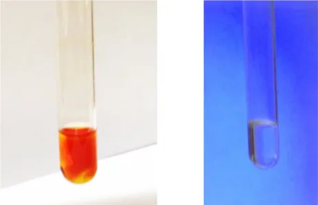 Abb. 1 – Reagenzglas mit Brom und Toluol vor (links) und bei der Belichtung mit UV-Licht (rechts).