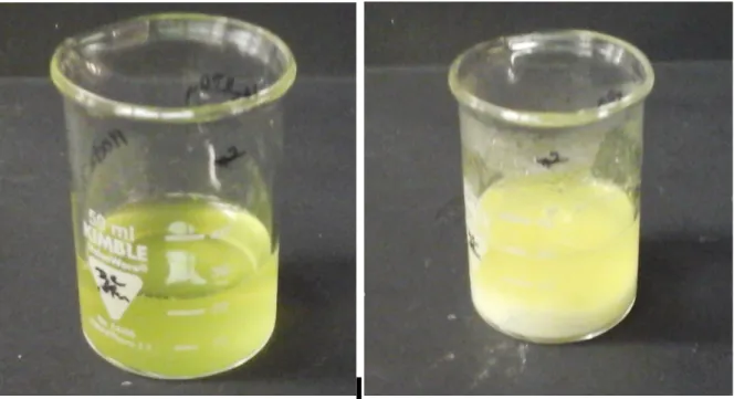 Abb. 8: Zitronensaft mit Ammoniak und Calciumchlorid vor dem erhitzen (links) und nach dem erhitzen (rechts)