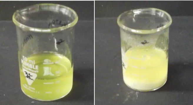 Abb. 8: Zitronensaft mit Ammoniak und Calciumchlorid vor dem erhitzen (links) und nach dem erhitzen (rechts) 