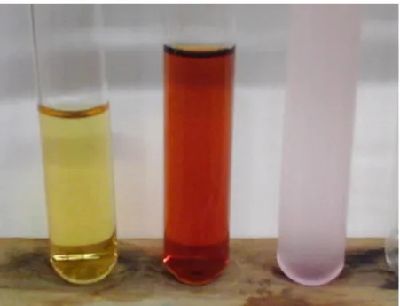 Abb. 5: Alkalische Esterhydrolyse Beobachtung: Reagenzglas 1 (links), Reagenzglas 2 (mitte) Reagenzglas 3 (rechts)