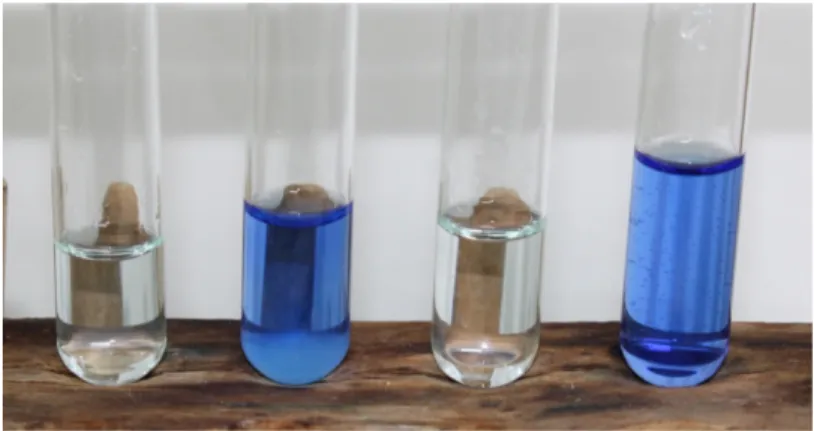 Abb. 1 - Kupfersulfatlösung (links), Kupfersulfatlösung mit Ammoniak (mitte links), nach  Zugabe von Schwefelsäure (mitte rechts) und erneute Zugabe von Ammoniak (rechts).