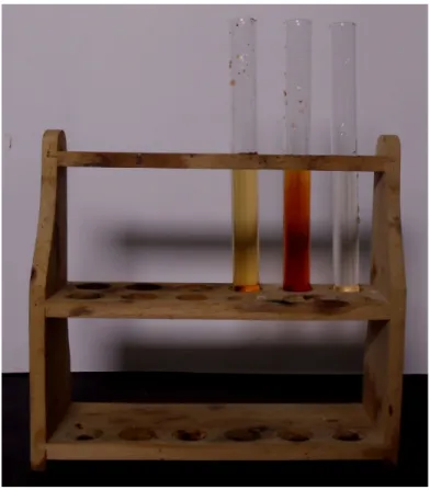 Abbildung 2: Die Lösung verfärbt sich wieder rot-braun bei Zugabe von Ammoniumthiocyanat (in der Mitte) und gelb-rötlich bei Zugabe von Eisen(III)-chlorid
