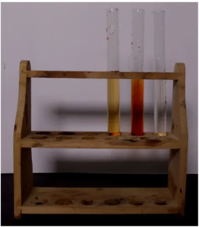 Abbildung  12:   Die   Lösung   verfärbt   sich   wieder   rot-braun   bei   Zugabe   von Ammoniumthiocyanat   (in   der   Mitte)   und   gelb-rötlich   bei   Zugabe   von   Eisen(III)-chlorid.