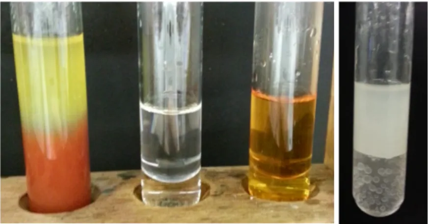 Abbildung 1 – Links: (v.l.n.r.) Tomatensaft, Cyclohexen, Cyclohexan, jeweils mit Bromwasser versetzt