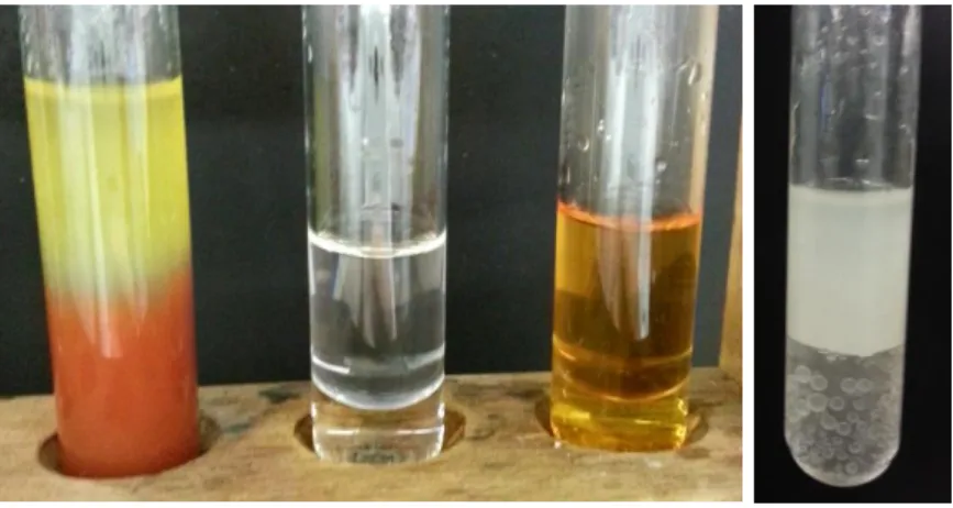 Abbildung 1 – Links: (v.l.n.r.) Tomatensaft, Cyclohexen, Cyclohexan, jeweils mit Bromwasser versetzt