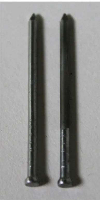 Abb. 4 -  Eisennagel und verzinkter Eisennagel.