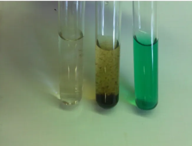 Abbildung 1: Entfärbung im sauren Milieu (links), brauner Niederschlag im neutralen Milieu (Mitte), Grünfärbung im basischen Milieu (rechts)