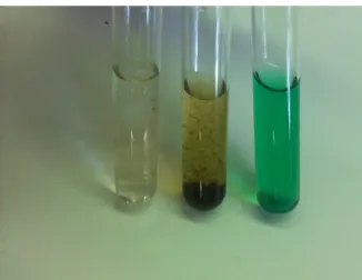 Abbildung 4: Entfärbung im sauren Milieu (links), brauner Niederschlag im neutralen Milieu (Mitte), Grünfärbung im basischen Milieu (rechts)
