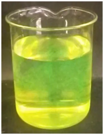 Abb. 4 - Grün-fluoreszierende Lösung.