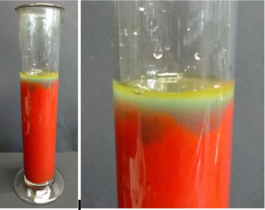 Abb. 1 – Die unterschiedlichen Farben des Tomatensaftes nach Zugabe von Bromwasser