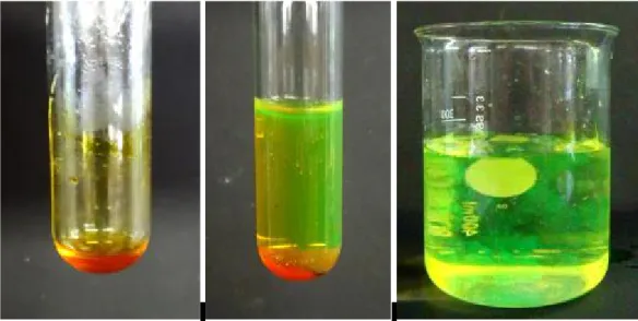 Abb.  1  – Fluorescein nach dem Erhitzen (links), nach Zugabe der Natronlauge (Mitte) und nach Einleiten in ein Becherglas mit Wasser (rechts)