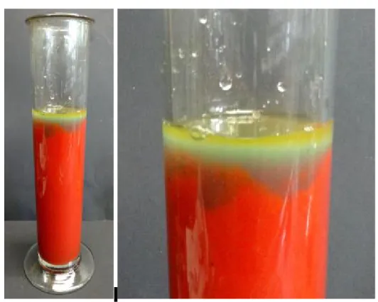 Abb. 5 – Die unterschiedlichen Farben des Tomatensaftes nach Zugabe von Bromwasser