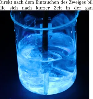 Abb. 2: Fluoreszenz eines Kastanienzweigs in Wasser.