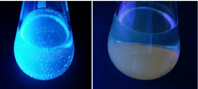 Abb. 1 -  Fluoreszenz von Chinin in Schweppes (links) und Fluoreszenzlöschung durch Chlorid-Ionen (rechts)