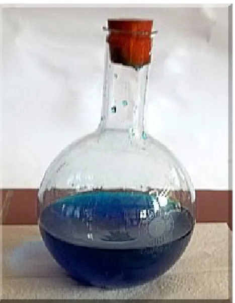 Abb.   3:   Versuchsaufbau   „Blue   Bottle“   vor   dem