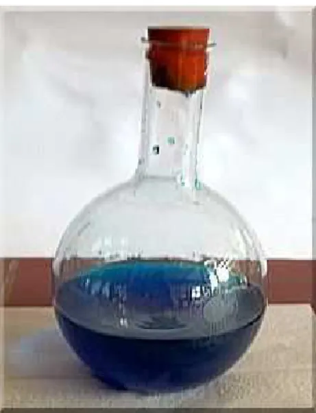 Abb. 4: Versuchsaufbau „Blue Bottle“ nach  dem Schütteln 