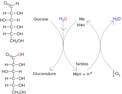 Abbildung 1: Reaktionsschema des Glucoseumsatzes mit Methylenblau (Mb)