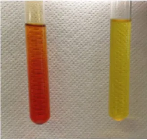 Abb. 1 – Die Glucoselösung wird zunächst gelblich, dann farblos.