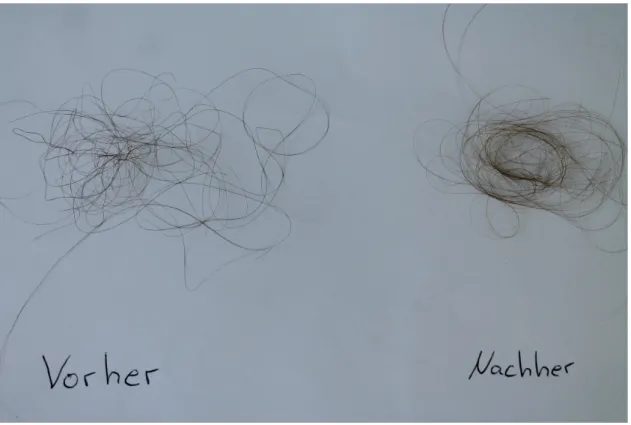 Abbildung 1: Eine ausgewählte Haarprobe vor und nach der Bleichung. Links: vor der Bleichung, rechts: nach der Bleichung.