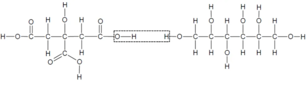 Abbildung 2: Polykondensation der Edukte.
